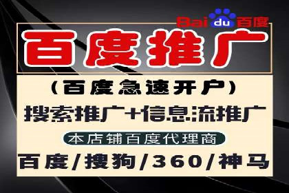 百度广告投放技巧与案例分享